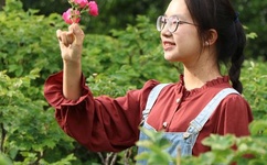 女优挑战与鲨共舞遭咬